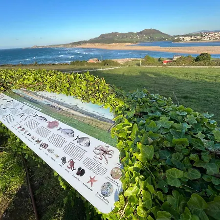 Robayera A Linea De Playa *
