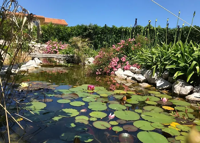 Robayera Family * Miengo