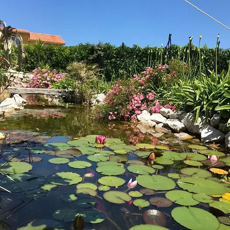 Robayera Family * Miengo